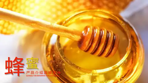 蜂蜜产品介绍品牌宣传PPT模板【可编辑精美PPT模板】