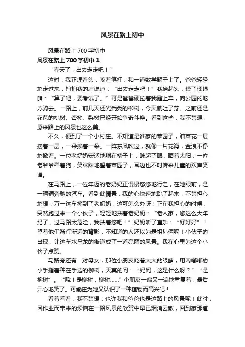 风景在路上700字初中