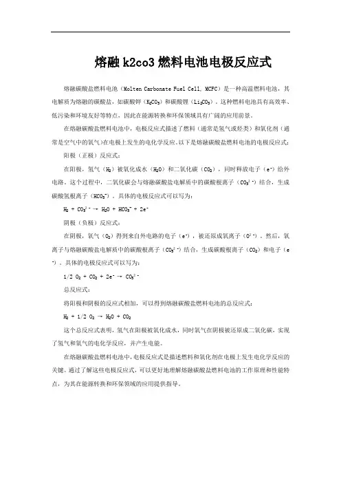 熔融k2co3燃料电池电极反应式