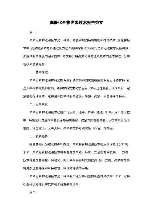 高聚化合物注浆技术报告范文