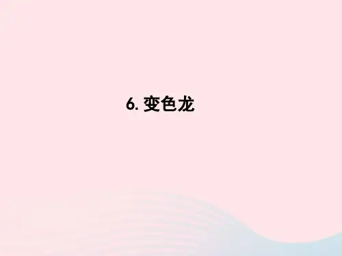 语文下册第二单元6变色龙课时训练课件新人教版