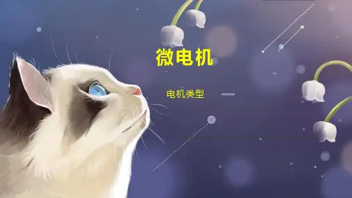 微电机    
