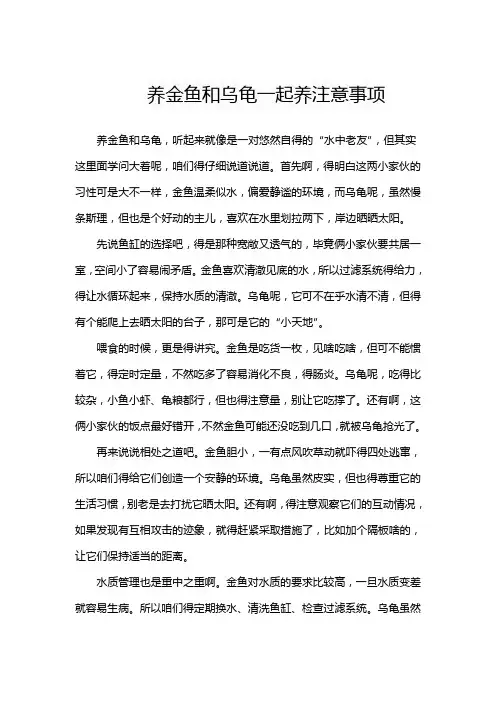 养金鱼和乌龟一起养注意事项
