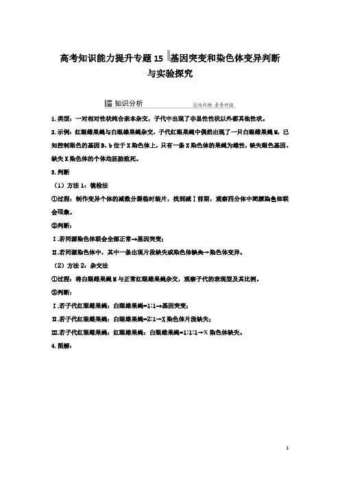 高考知识能力提升专题15  基因突变和染色体变异判断