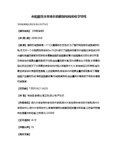 水稻脆性突变体叶的解剖结构和化学特性
