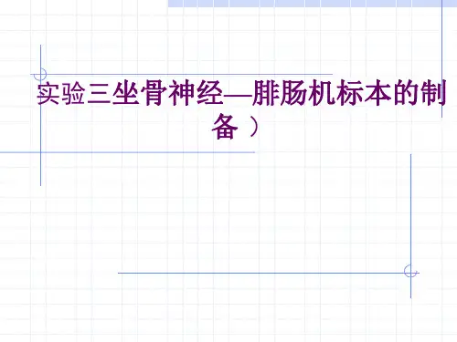 实验三 坐骨神经腓肠肌标本制备