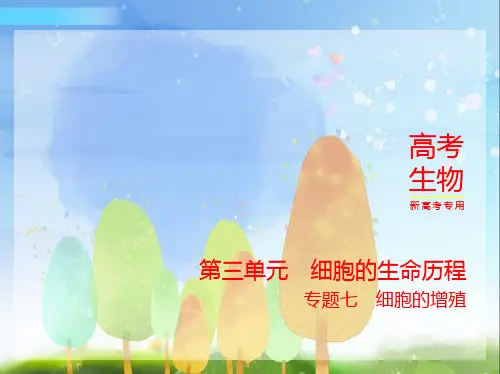 2024年新高考版生物1_7-专题七 细胞的增殖