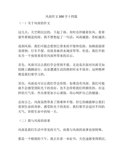 风雨作文800字十四篇