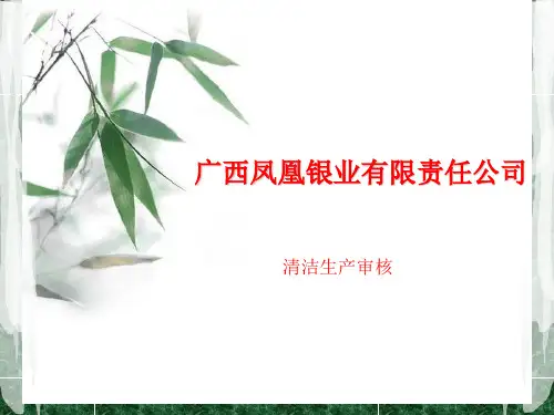 广西凤凰银业有限责任公司