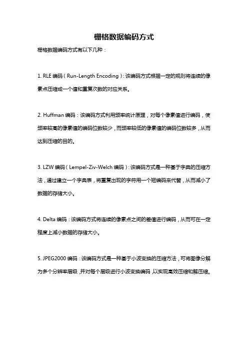 栅格数据编码方式