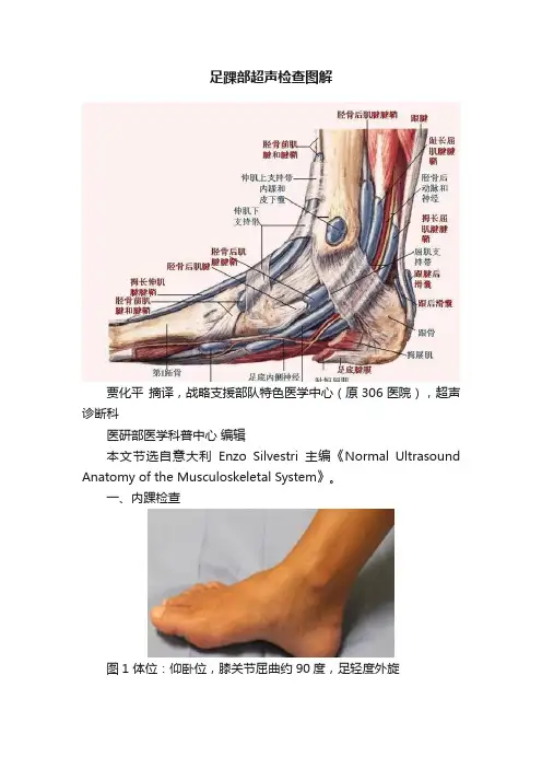 足踝部超声检查图解