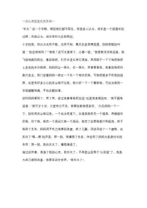 一次心灵的洗礼作文初一