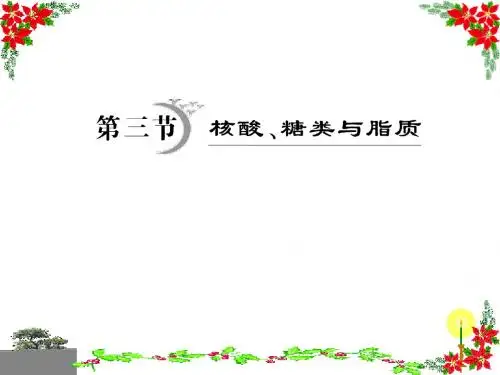 核酸糖类