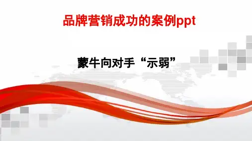 品牌营销成功的案例ppt