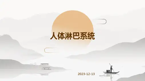 人体淋巴系统 