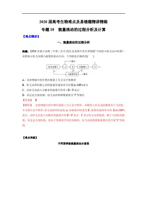 高中生物高考专题10 能量流动的过程分析及计算(解析版)