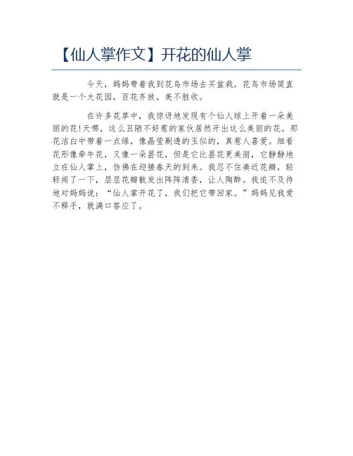 仙人掌作文开花的仙人掌