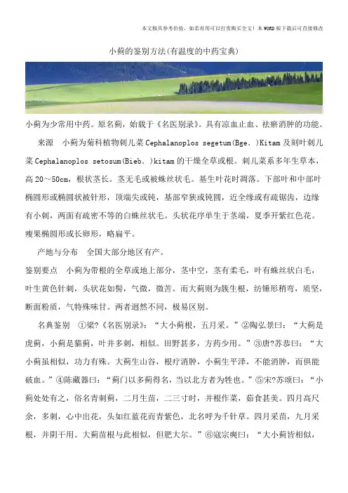小蓟的鉴别方法(有温度的中药宝典)