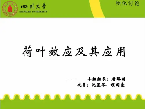 荷叶效应