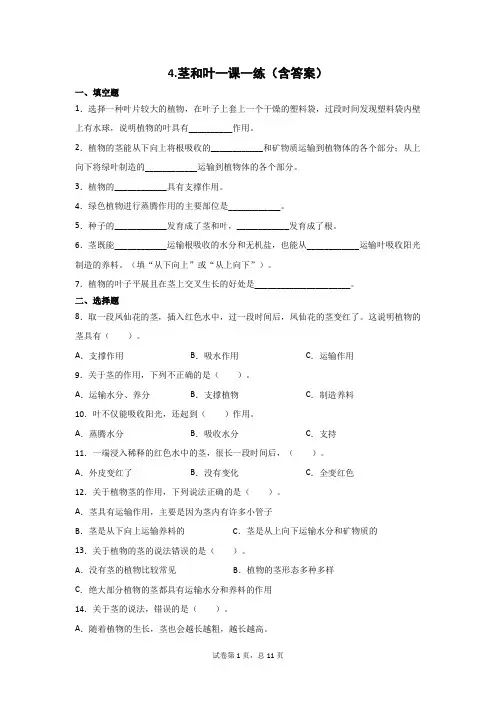 四年级科学下册试题第一单元4、茎和叶一课一练(教科版)(含答案)