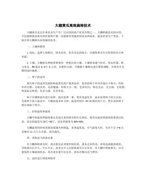 大棚黄瓜高效栽培技术