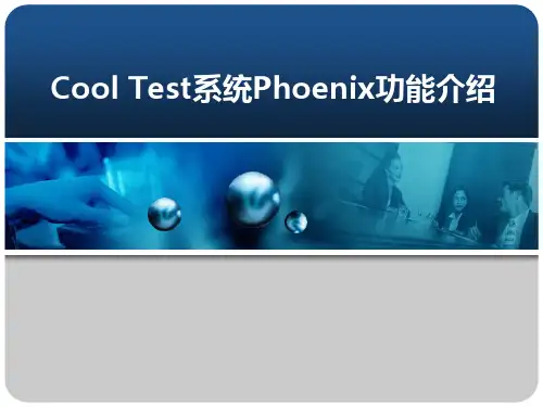 Phoenix分析软件功能介绍 PPT