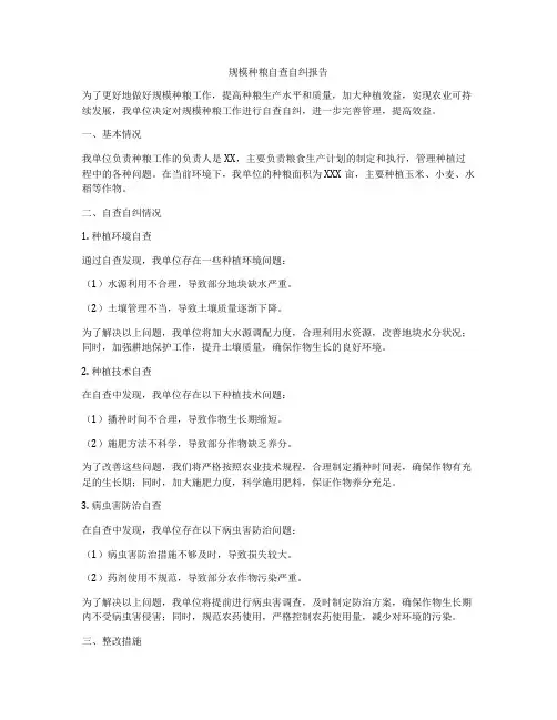 规模种粮自查自纠报告