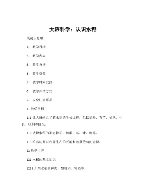 大班科学：认识水稻