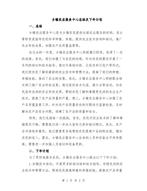 乡镇农业服务中心总结及下年计划