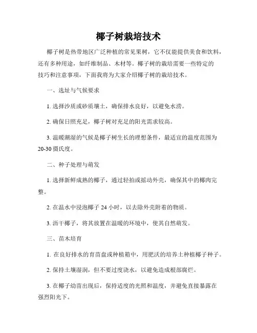 椰子树栽培技术