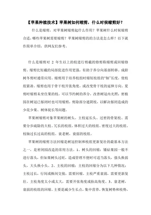 【苹果种植技术】苹果树如何缩剪,什么时候缩剪好？