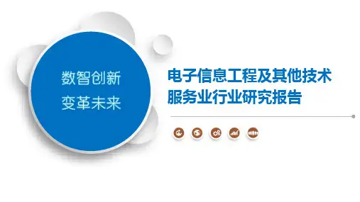 电子信息工程及其他技术服务业行业研究报告