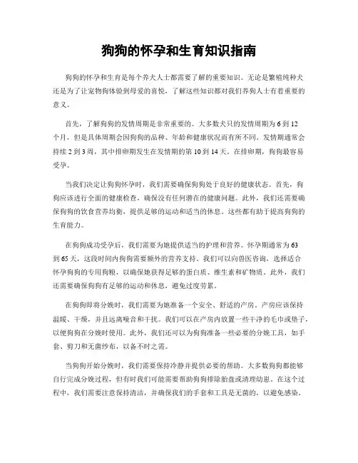 狗狗的怀孕和生育知识指南