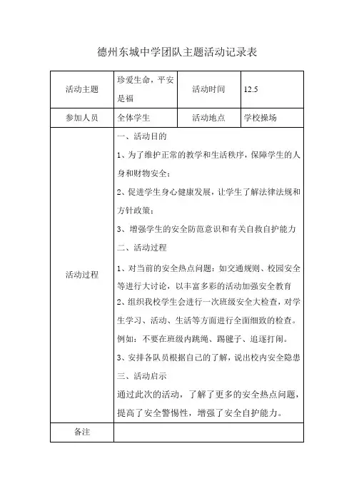 团队主题活动记录表13