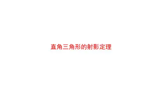 直角三角形的射影定理 课件