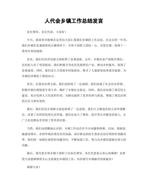 人代会乡镇工作总结发言