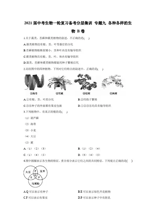 2021届中考生物一轮复习备考分层集训 专题九 各种各样的生物 B卷