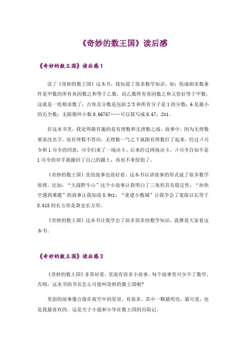 《奇妙的数王国》读后感_2