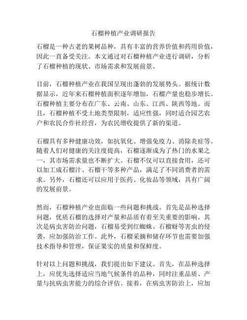 石榴种植产业调研报告
