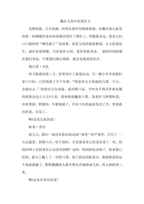 藏在人间中的爱作文