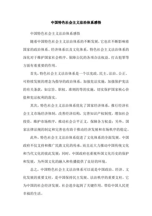 中国特色社会主义法治体系感悟