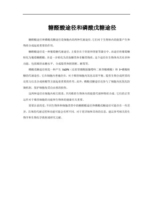 糖醛酸途径和磷酸戊糖途径