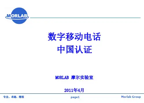 中国手机进网CTA认证_20110419