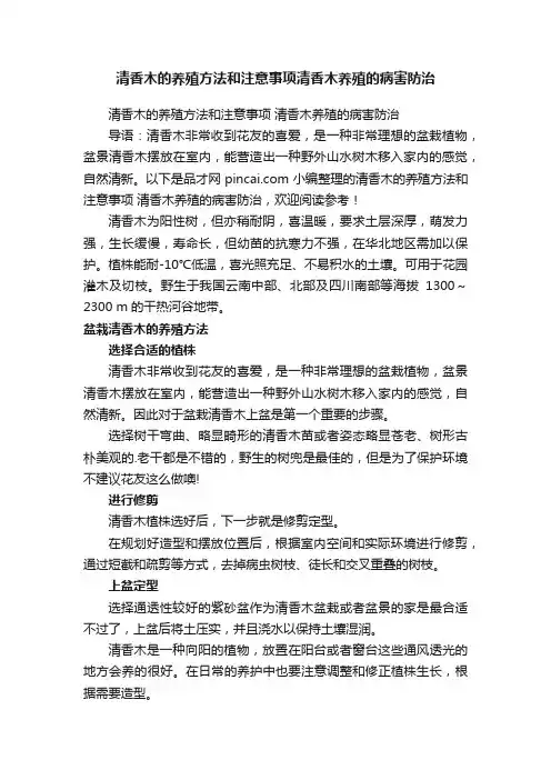 清香木的养殖方法和注意事项清香木养殖的病害防治