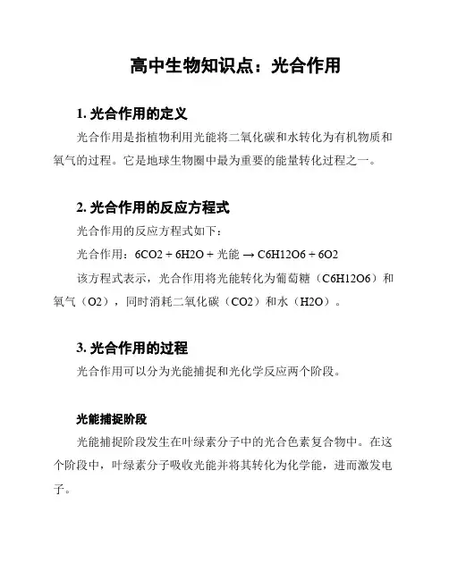 高中生物知识点：光合作用
