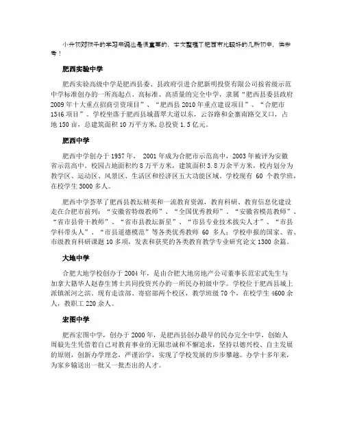 2021年肥西初中排名前十名