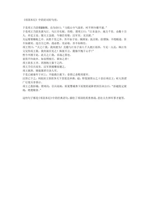 《项羽本纪》好词好句