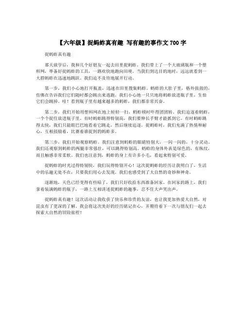 【六年级】捉蚂蚱真有趣 写有趣的事作文700字