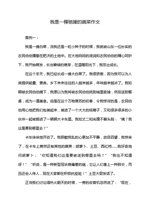 我是一棵驰援的蔬菜作文