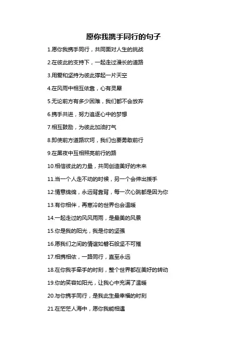 愿你我携手同行的句子-概述说明以及解释